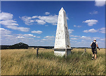 TL4101 : Obelisk, Upshire by Stephen Richards