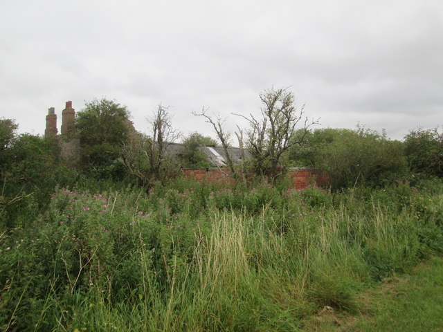 The  ruin  that  was  Carr  House  farm