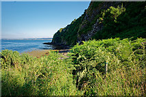 NH6852 : The cliffs of Craigiehowe by Julian Paren