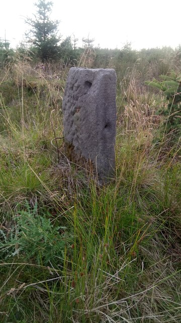 Intriguing Stone Post at Edge of Burn Row Ruins
