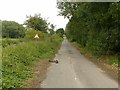 The lane to Fiskerton Waste Disposal Site