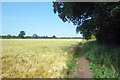 Bridleway to Bourton