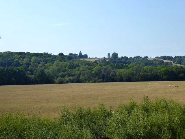Ox Pasture/Meadow Field