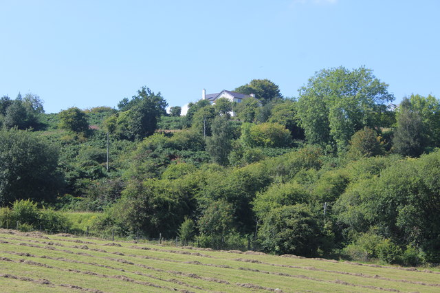 Wooded hillside near Upper Race