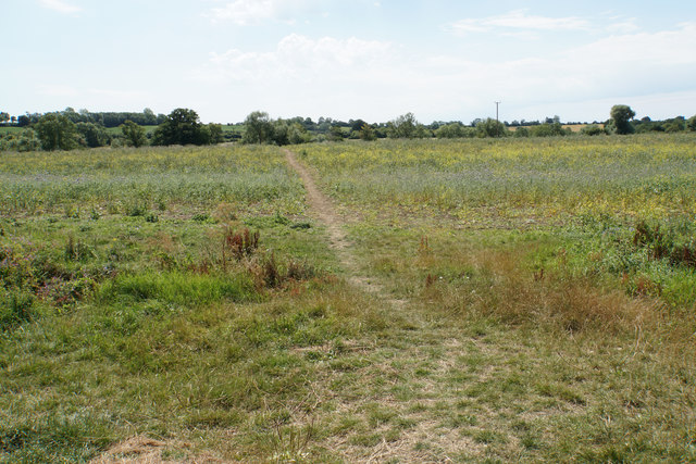 Path across a fallow field