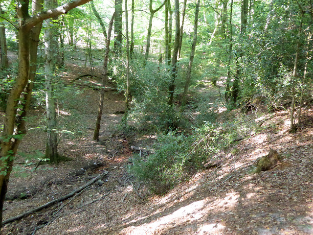 Ashdown Forest - gill near Lavender Plat