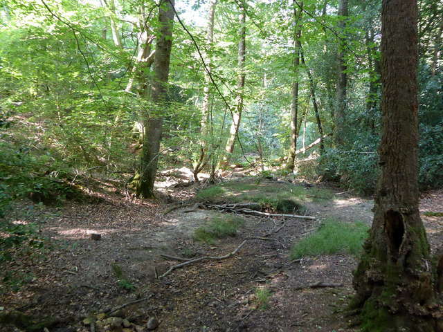 Ashdown Forest - gill near Lavender Plat