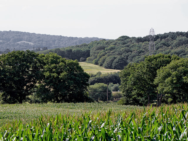 Farmland and woodland by Round Hill near Stourbridge