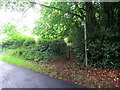 Llwybr yn gadael yr heol / Path exiting the road