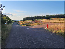NS7039 : Entrance road to the Kype Muir Wind Farm by wrobison