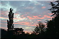 Evening sky over Ansty Combe