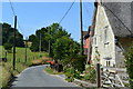 Lane and cottages, Swallowcliffe