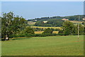 View across field north of Wardour