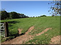 Grass field near Lower Llantrothy