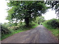 Heol Fach ger Bryncrwys - A minor road near Bryncrwys