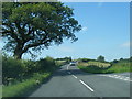 SD6280 : A683 north of Casterton by Colin Pyle