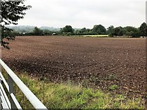 SP2155 : Farmland near Stratford Upon Avon by Richard Humphrey