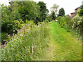 Grass path alongside the River Leven, Stokesley