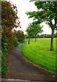 O2912 : Footpath in Burnaby Park, Greystones, Co. Wicklow by P L Chadwick