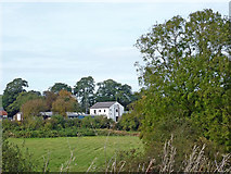 SJ6452 : Cheshire farmland near Nantwich by Roger  D Kidd
