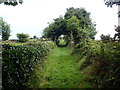 J3534 : Heading South towards a tree arch on the Ulster Way by Eric Jones