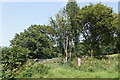 Gate beside Pingot Lane, Manley