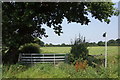 Footpath near Dunham-on-the-Hill