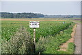 Sign at the end of Small Lane, near New Lane, Burscough