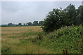 Field and Embankment above Poole