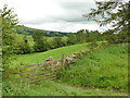 Gate and field off the A684