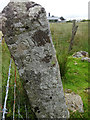 Plymouth Water Works Boundary Stone