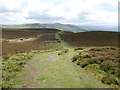 SJ1267 : Offa's Dyke Path on the top of Pen y Cloddiau by Eirian Evans