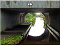 Llangollen Canal at Hurleston Bridge in Cheshire