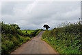 C8334 : Ballycairn Road, Ballycairn by Kenneth  Allen