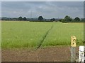 Footpath to Upton