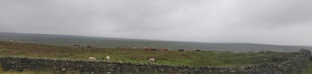 Cow Pasture - south of the A66