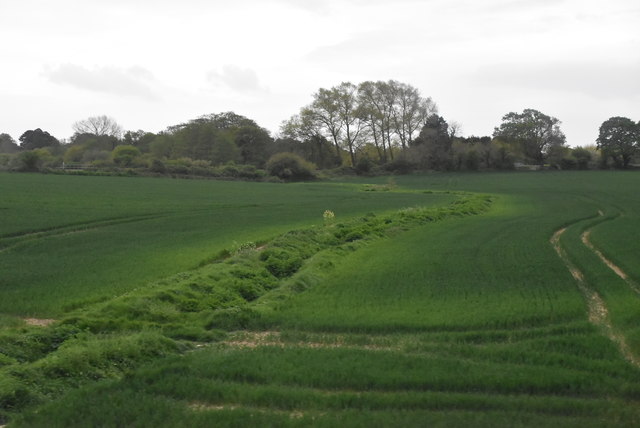 Ditch in field © N Chadwick cc-by-sa/2.0 :: Geograph Britain and Ireland