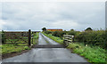 Minor road beyond cattle grid