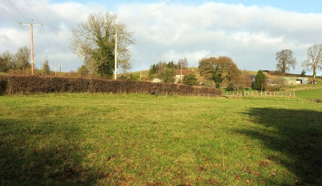 Field, Broom Hill Farm © Derek Harper cc-by-sa/2.0 :: Geograph Britain ...