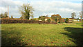 ST6557 : Field, Broom Hill Farm by Derek Harper