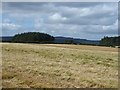 Field near Low Farnham Farm