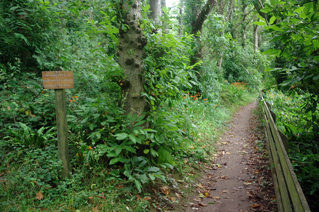 Path to Revelstoke Park