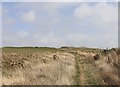 View towards Afton Down barrows