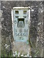 Flush Bracket Bench Mark on Triangulation Pillar near Wigginton