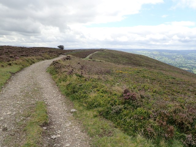 Offa's Dyke Path on Moel Llys y Coed