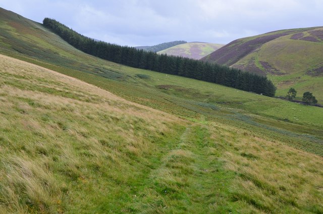 Nips Road © Jim Barton cc-by-sa/2.0 :: Geograph Britain and Ireland