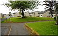 Housing, Lennox Avenue