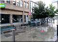 Trees and benches, Llanarth Street, Newport