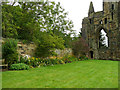 NZ6116 : Priory ruin and herbaceous border, Guisborough by Humphrey Bolton