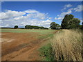 Field near Terrace Hills Farm